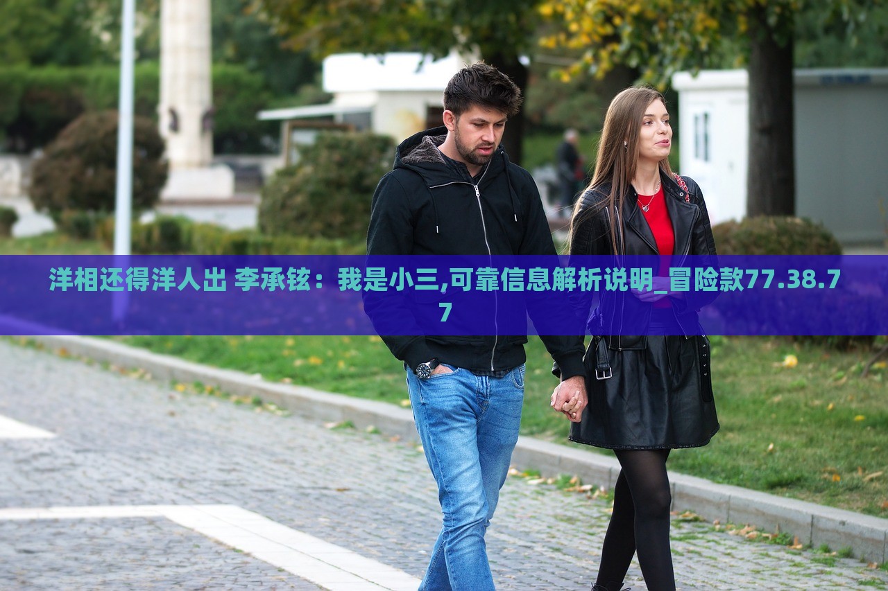 洋相还得洋人出 李承铉，我是小三,可靠信息解析说明_冒险款77.38.77，李承铉，洋相背后的故事——自我定位为小三的冒险款解析说明